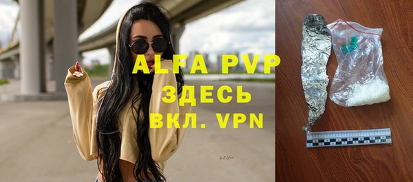 индика Абинск