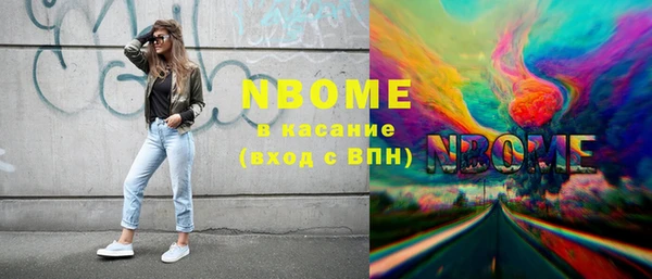 индика Абинск
