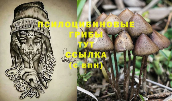 индика Абинск