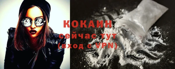 индика Абинск